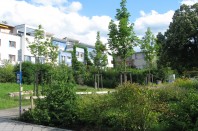 Ecoquartier_Vauban_Freibourg4