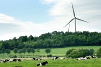 Des députés de l'opposition accusent des députés de la majorité d'entraver, par leurs amendements, le développement des éoliennes parmi les énergies renouvelables