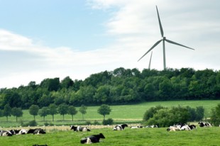 Des députés de l'opposition accusent des députés de la majorité d'entraver, par leurs amendements, le développement des éoliennes parmi les énergies renouvelables