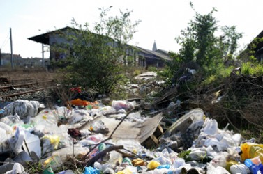 Environnement et déchets sauvages