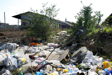 Environnement et déchets sauvages Environnement et déchets sauvages