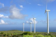 Eoliennes dans un champs