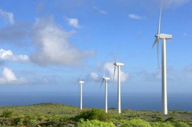 Eoliennes dans un champs