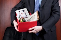 Fotolia_12564695_M recadré © Chlorophylle - Fotolia.com