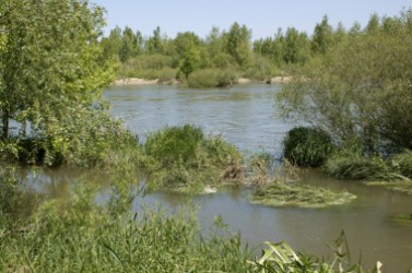 photo d'un fleuve ou d'une rivière bordée d'arbres et de végétations
