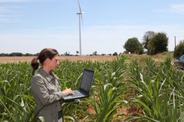 Agronomist in corn field