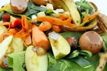 Déchets ménagers pour compost