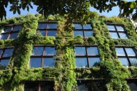 mur végétalisé du Musée du Quai Branly à Paris