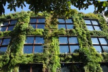mur végétalisé du Musée du Quai Branly à Paris