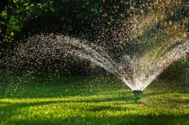 Garden sprinkler