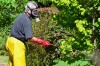 Gardening - Garden Spray