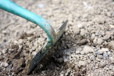 biner la terre de jardin