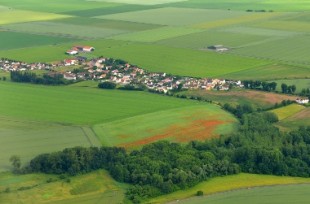 Fotolia_53816795_M recadré ©_celeste_clochard_-_Fotolia_com