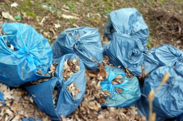 Fotolia_64546591_XS© Manuela Manay - Fotolia.com recadré