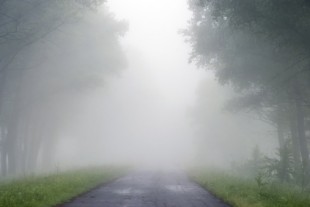 Foggy road