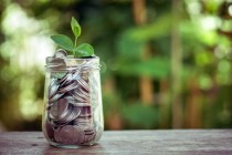 plant growing out of coins with filter effect retro vintage styl