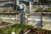 GRANDE SYNTHE1 SERRES