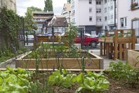 centre-ville; jardin partagé; rue des lentilles; petite france