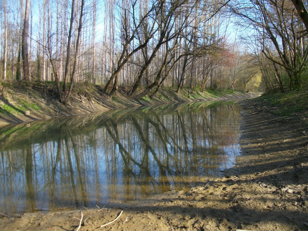 ...Et apr&egrave;s restauration. [Cliquer sur la photo pour l'agrandir]
