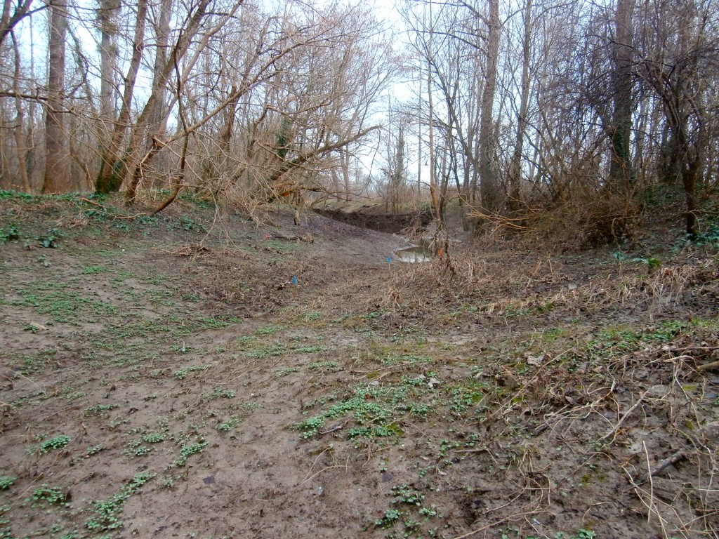 Avant... [Cliquer sur la photo pour l'agrandir]