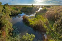 Marais des gargattes_S-Baudouin_SMCG