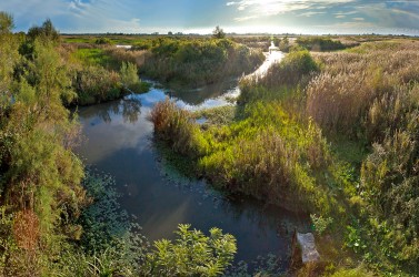 Marais des gargattes_S-Baudouin_SMCG
