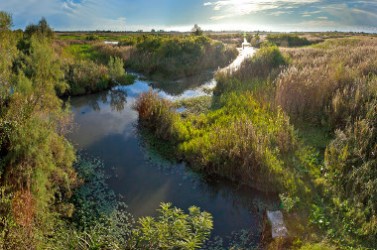 Marais des gargattes_S-Baudouin_SMCG
