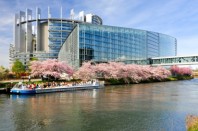 European Parliament in Strasbourg under the cherry Blossom trees