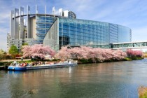 European Parliament in Strasbourg under the cherry Blossom trees