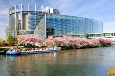 European Parliament in Strasbourg under the cherry Blossom trees