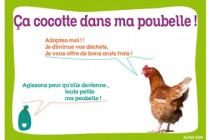 Photo 1 ça cocotte dans ma poubelle