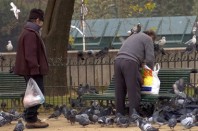 Jean-Louis Zimmermann_Flikr_cc_