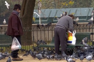 Jean-Louis Zimmermann_Flikr_cc_