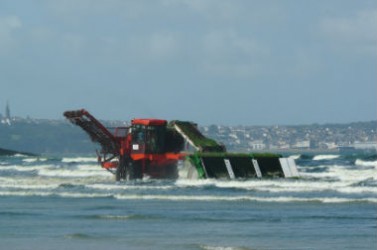 RD-algues-vertes-ramassage