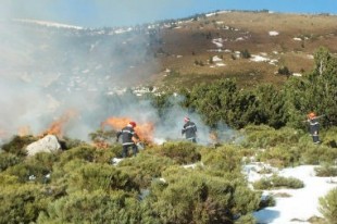 incendie de végétation