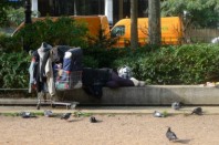 SDF-pauvrete-sans-abri-UNE