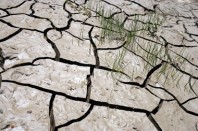 Terre craquelée par la sécheresse