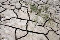 Terre craquelée par la sécheresse