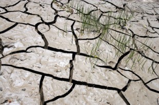 Terre craquelée par la sécheresse