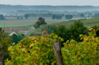 Vendanges_CORNILLE_marcon_2013©Stevan LIRA (13)