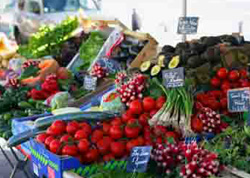 Organisation et gestion du service de restauration scolaire