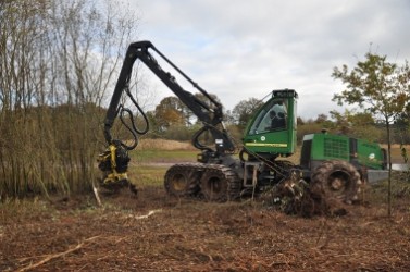 L’abatteuse forestière arrache les saules entiers. Grâce à son bras articulé, elle coupe ensuite les souches qu’elle range séparément des branches.