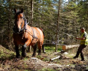 aude - d&eacute;bardage - ladepeche.fr