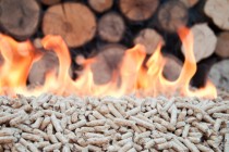 Pellets- Biomass