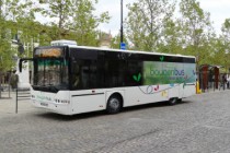 bougenbus