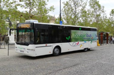 bougenbus