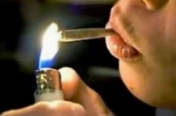 cannabis joint drogue