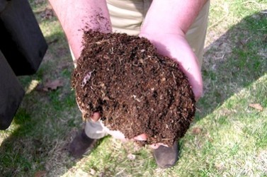 compost