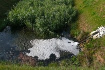 copyright- Catherine-boutin- Quingey