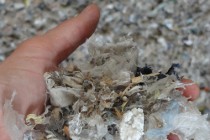 dechets_2014_CSR_800 CG57